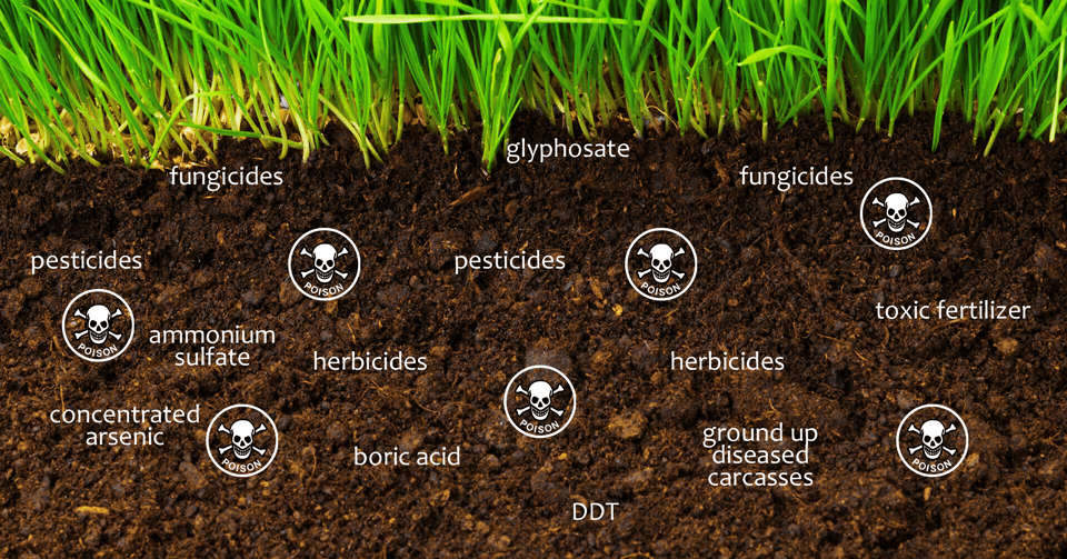 why the soil will be dead by 2030