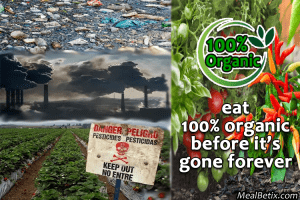 How To Eat All Organic Every Day For Less Than The Cost Of Fast Food
