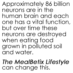 Brain - Approximately 86 billion neurons are in the human brain and each one has a vital function, but over time these neurons are destroyed when eating food grown in polluted soil and water.   The MealBetix Lifestyle can change this.