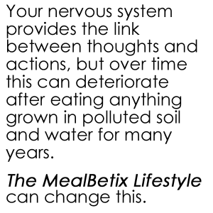 Your nervous system provides the link between thoughts and actions, but over time this can deteriorate after eating anything grown in polluted soil and water for many years.   The MealBetix Lifestyle can change this.