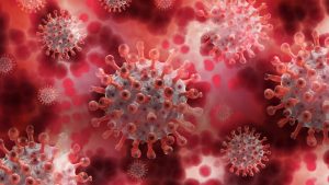 what is innate immune system