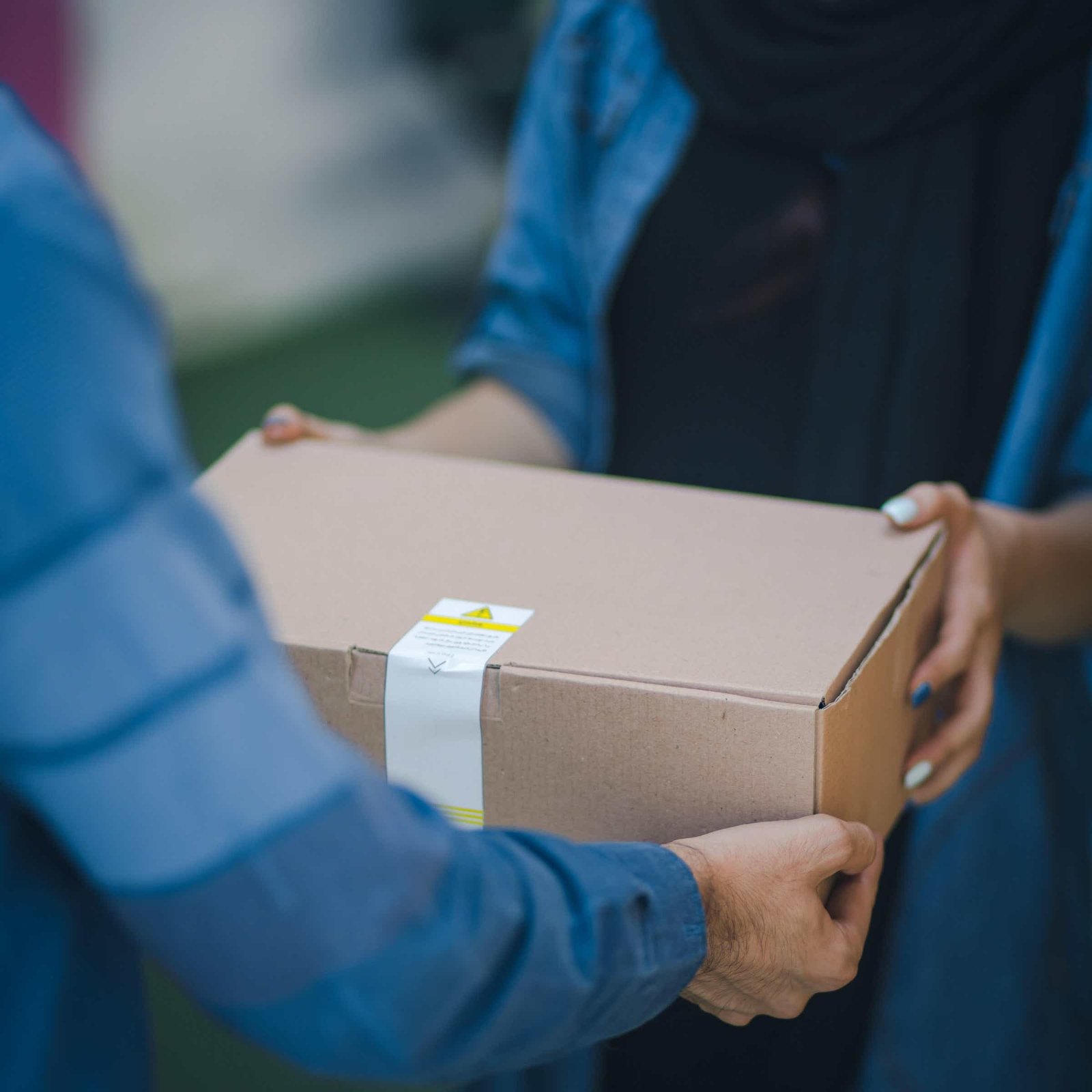 Discover the Benefits of Plant Based Meal Delivery