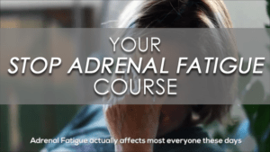 STOP ADRENAL FATIGUE COURSE