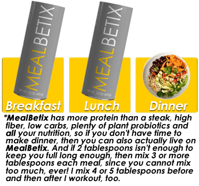 THE MEALBETIX LIFESTYLE MEAL PLAN