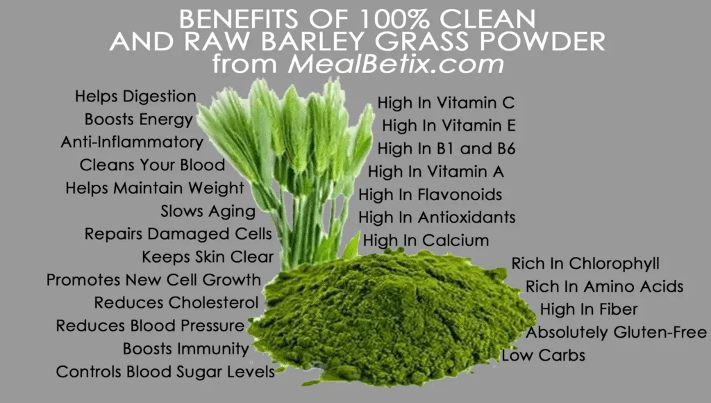BENEFITS OF BARLEY GRASS POWDER