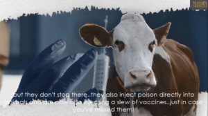 mRNA vaccines in meat