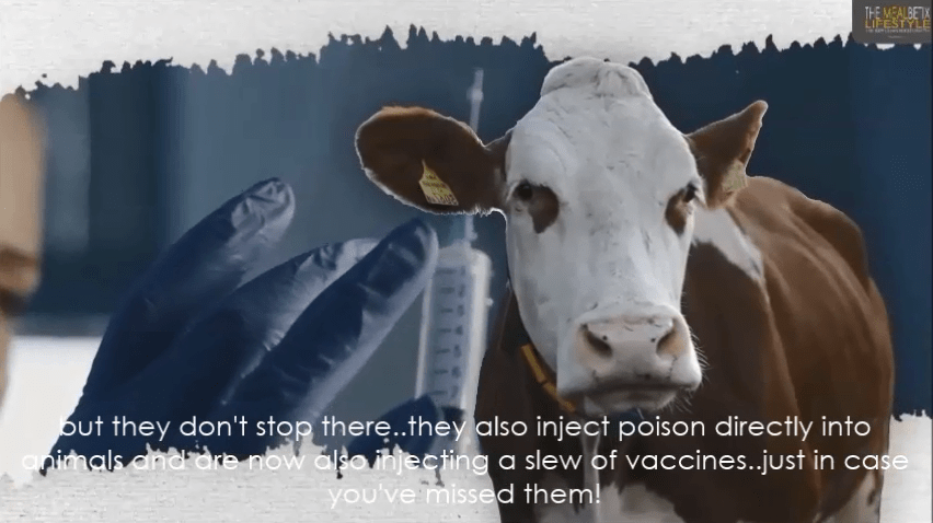 mRNA vaccines in meat