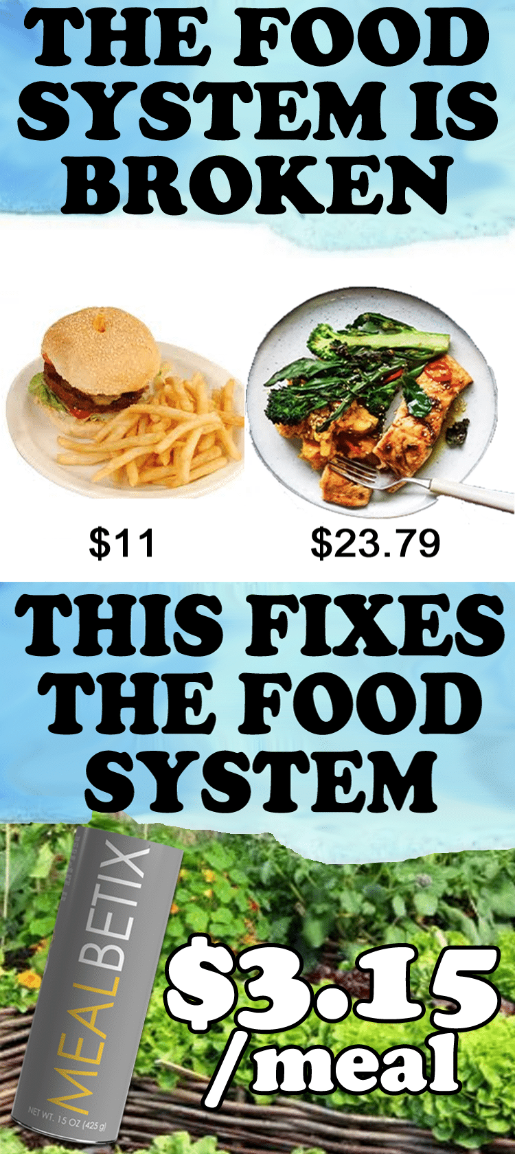 FOOD SYSTEM IS BROKEN