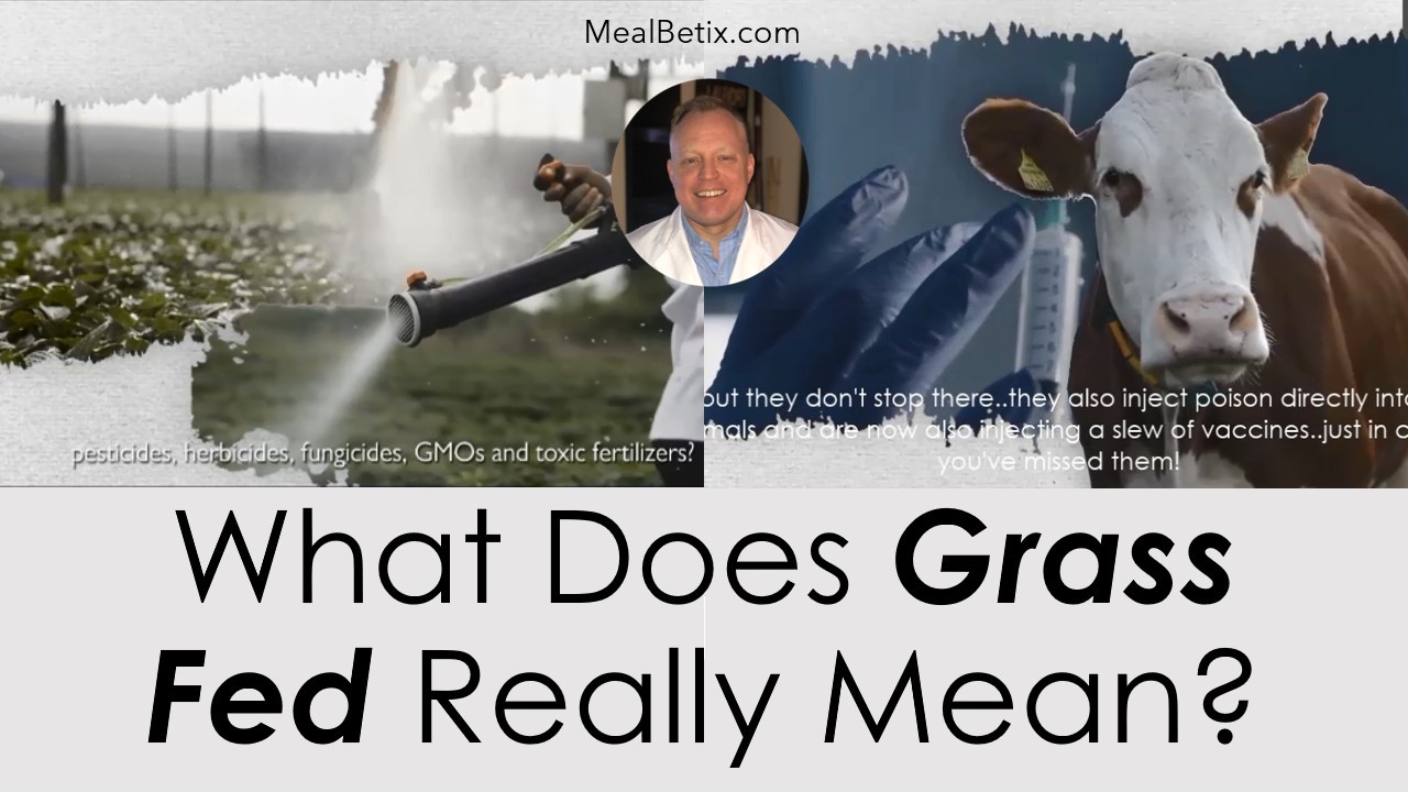 WHAT DOES GRASS FED REALLY MEAN?