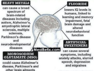 HEAVY METALS In The Brain