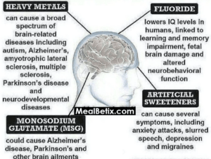 Heavy Metals In The Brain