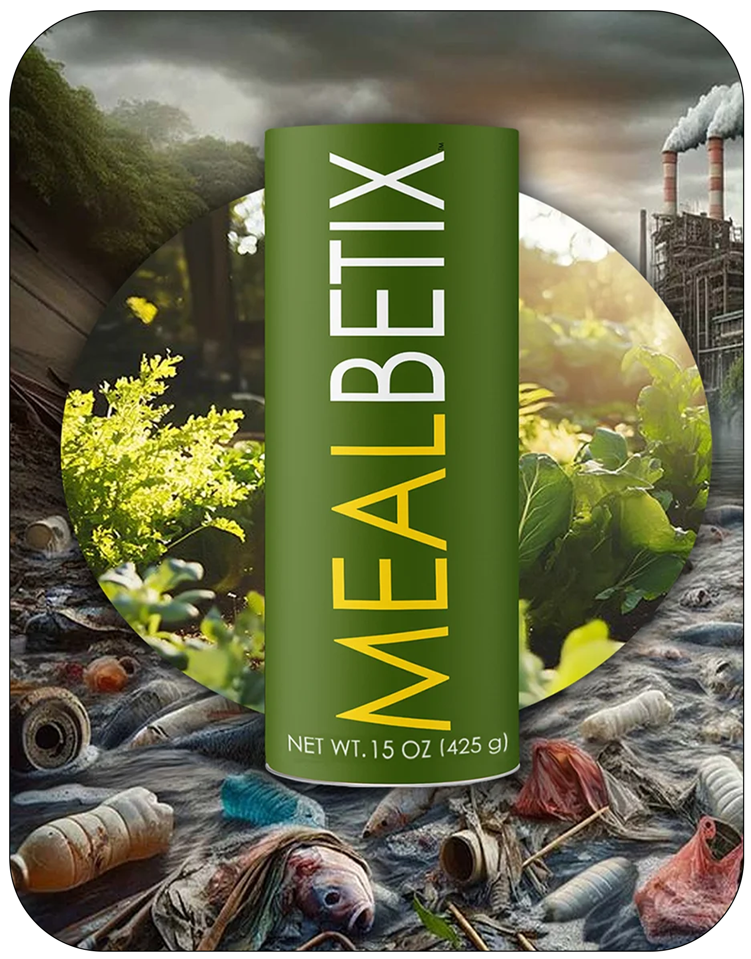 MealBetix –The Last 100% Clean Meal