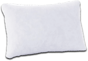 100% Organic Cotton pillow