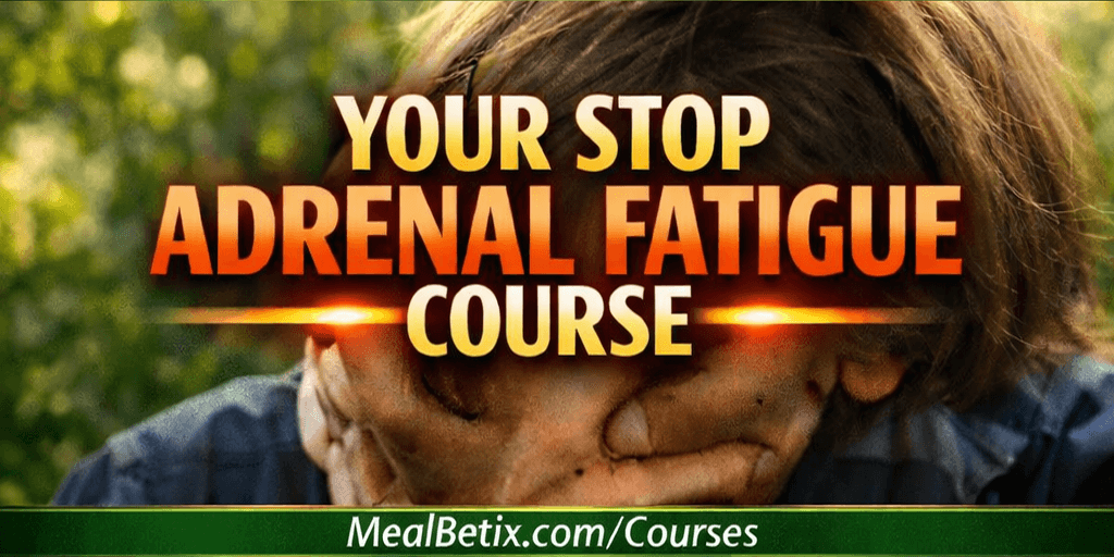 STOP ADRENAL FATIGUE COURSE