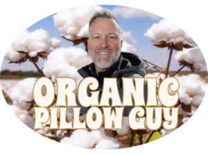 Discover Your Dream Sleep With the Best Organic Bed Pillow