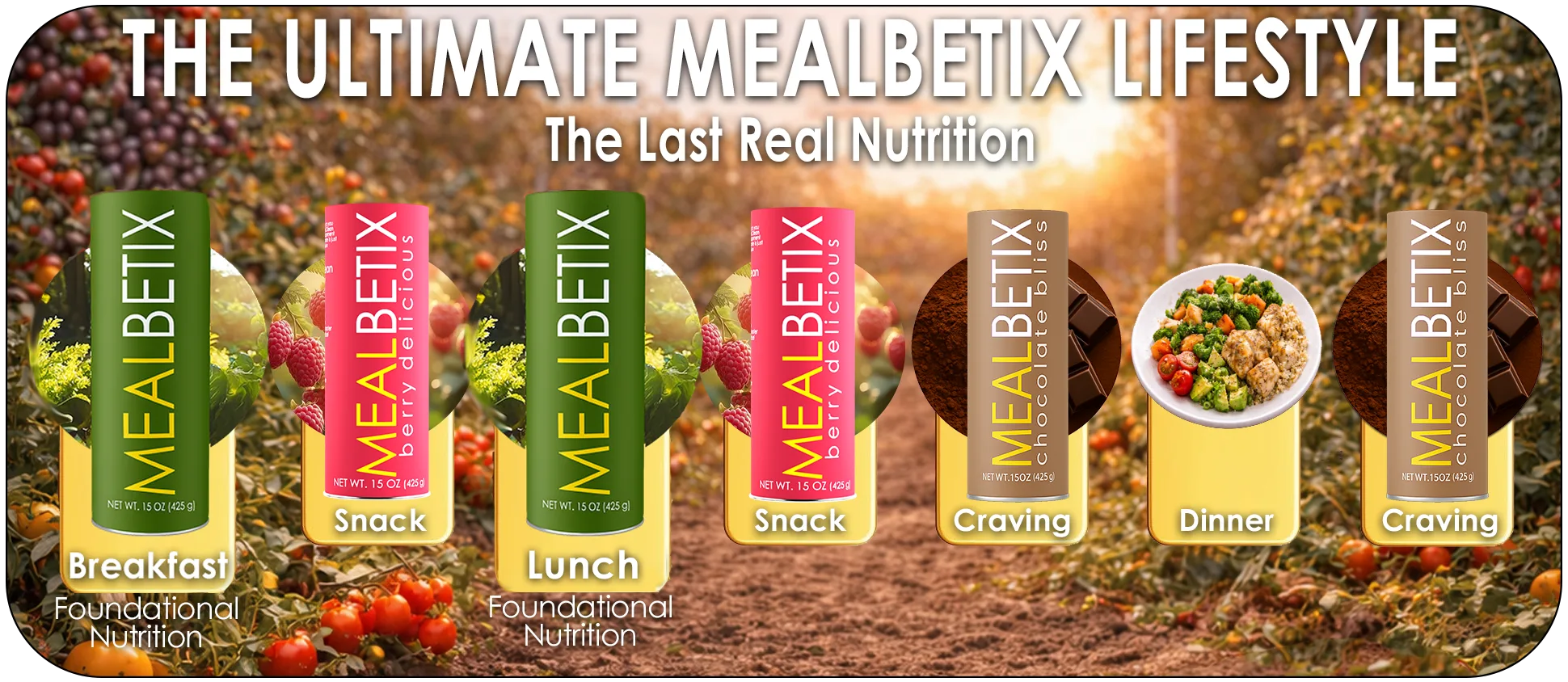 The Ultimate MealBetix Lifestyle guide