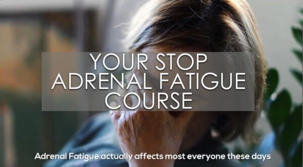 Stop Adrenal Fatigue Course