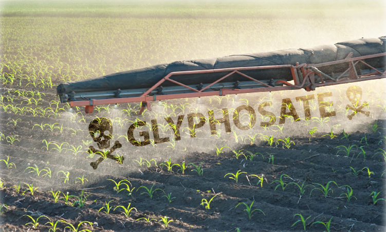 Is There Glyphosate In Organic Food?