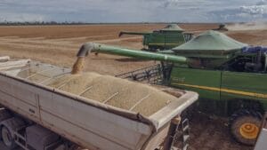THE CLEANEST HEMP PROTEIN ON EARTH